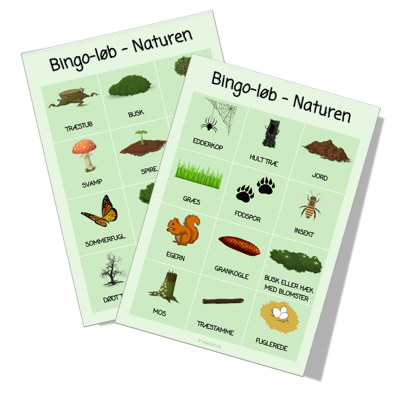 Bingo-løb - Naturen