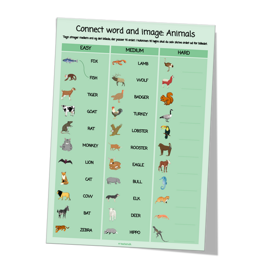 Connect word and image - Animals